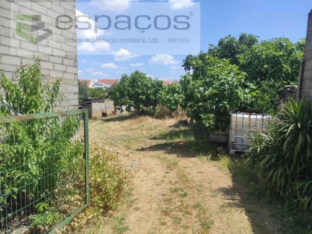 Granja Castelo Branco Castelo Branco DLS97120201