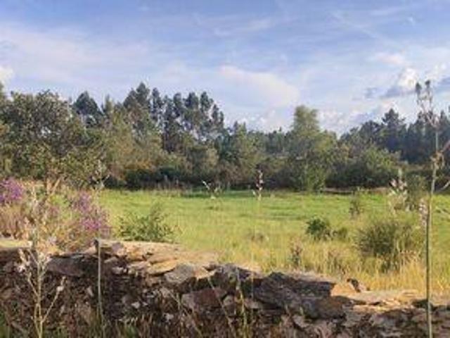 Granja Castelo Branco Castelo Branco DS98338046