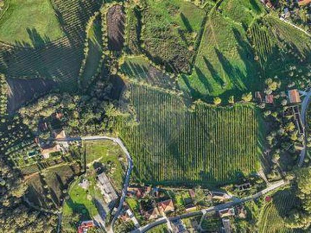 Granja Celorico De Basto Braga DS94577148