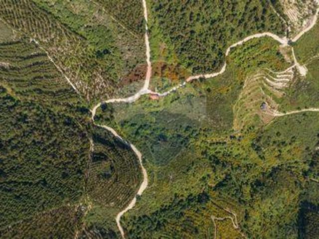 Granja Celorico De Basto Braga DS94577275