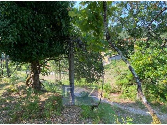 Granja Amarante Amarante DLS97123178