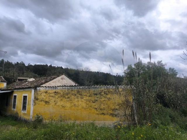 Granja Abrantes Abrantes DLS89673359