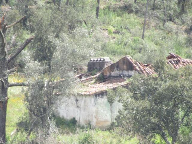 Granja Abrantes Abrantes DS95265848