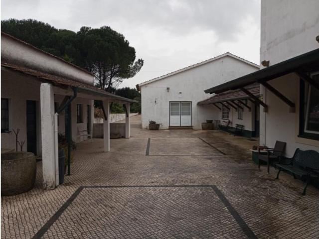 Granja Águeda Águeda DS99192869