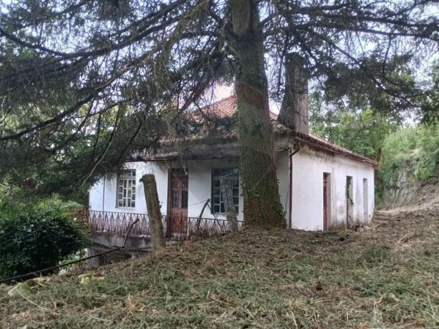 Granja Arcos de Valdevez Arcos de Valdevez DLS93457015