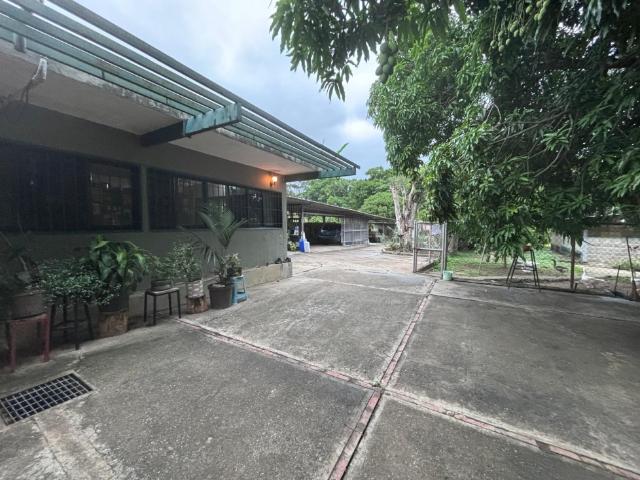 Granja Avícola en Venta, Altagracia de la montaña, Edo. Miranda