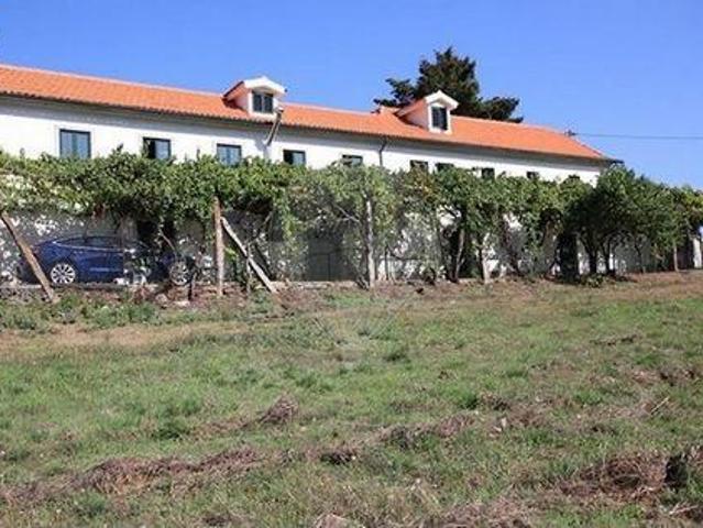 Granja Baiao Porto ELS101198932