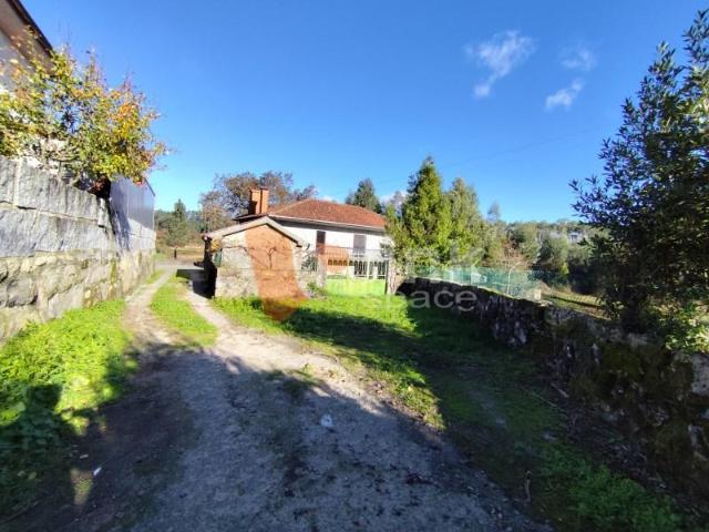 Granja Braga Braga DS100256816
