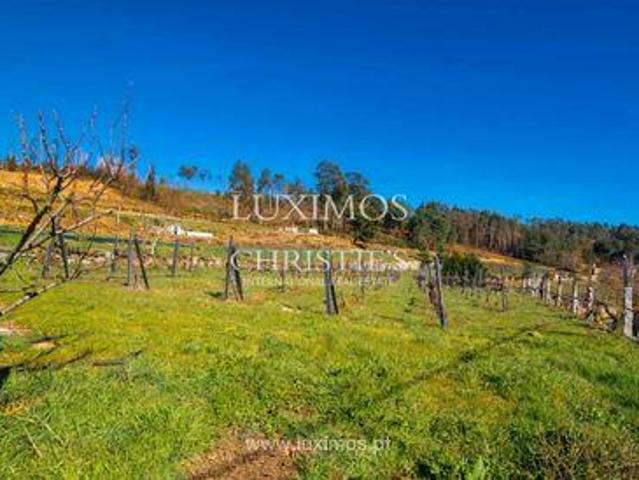 Granja Gestaço PORTO DLS96308163