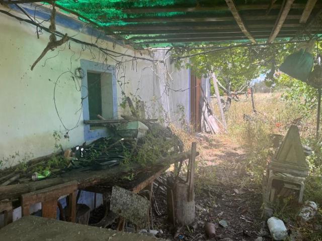 Granja Grândola Grândola DS90743194