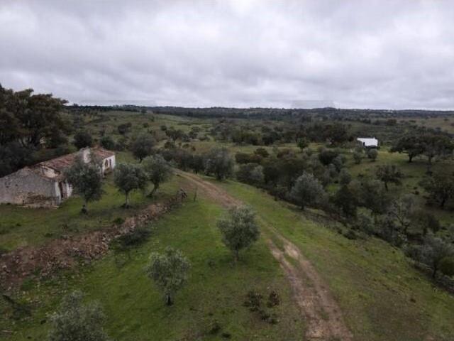 Granja Grândola Grândola DS96848706