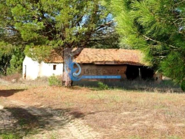Granja Grândola Setúbal DS99763377