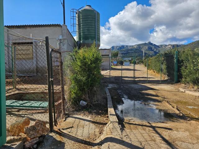 GRANJA DE 600 CERDOS