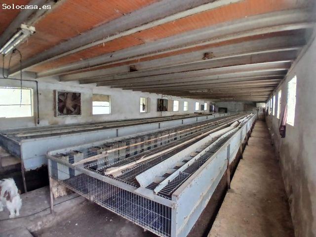 Granja de conejos en Peñarroya de Tastavins
