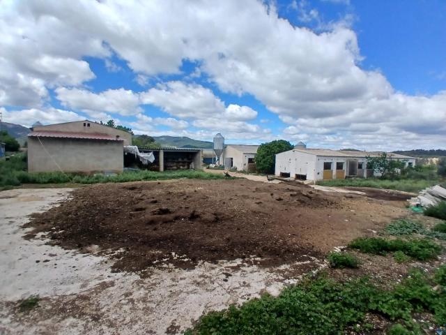 Granja de conejos en Peñarroya de Tastavins