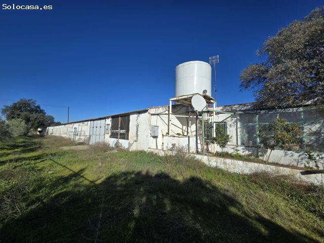 GRANJA DE PAVOS EN VENTA