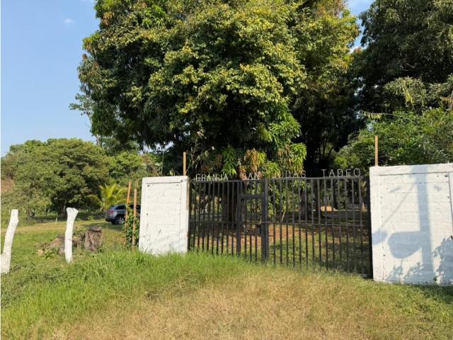 Granja Diversificada en Producción Central Tacarigua Sector Naranjito