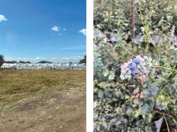Granja en venta en 58440 Tzintzuntzan, Mich. México