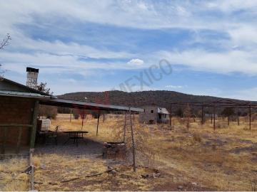 Granja en venta en casa colorada en ciudad cuauhtemoc