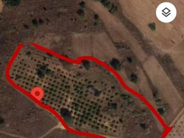 Granja en venta en Melchor Ocampo, Centro, Zacapu, Mich. México, 58600