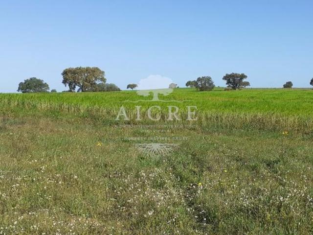 Granja Ferreira do Alentejo Beja DLS66631012