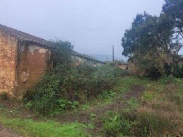 Granja Odemira Beja DLS101598230
