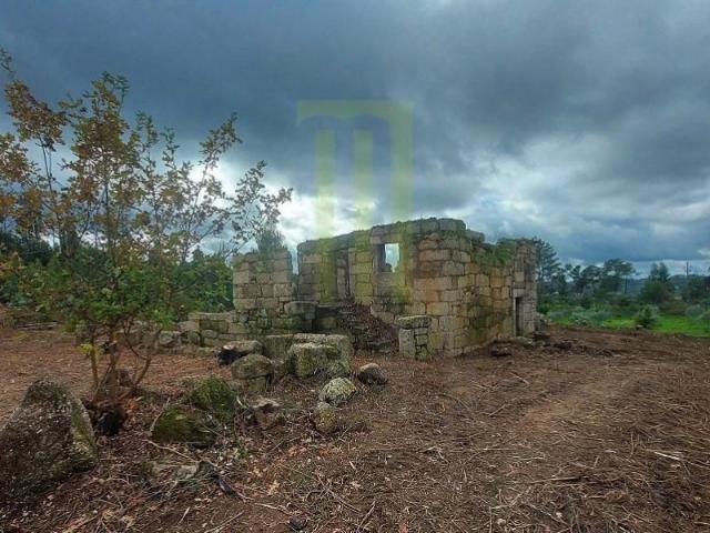 Granja Oliveira do Hospital Oliveira do Hospital DLS97123221