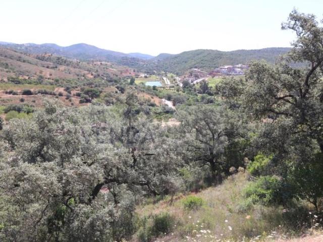 Granja Loulé Loulé DLS85987856