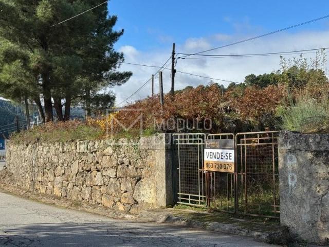 Granja Lamego Lamego DLS95903803