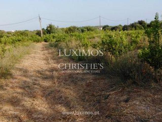 Granja Luz de Tavira e Santo Estêvão FARO DS96316472