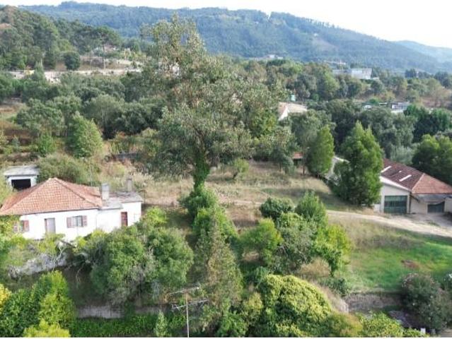 Granja Santo Tirso Santo Tirso DS100639428
