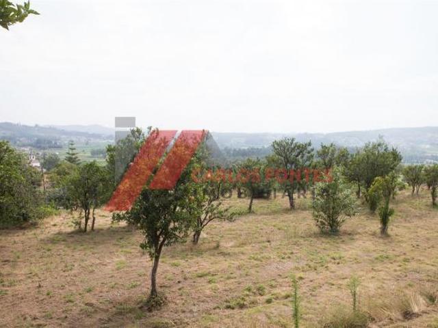 Granja Santo Tirso Porto 4825 000 DLS81825106