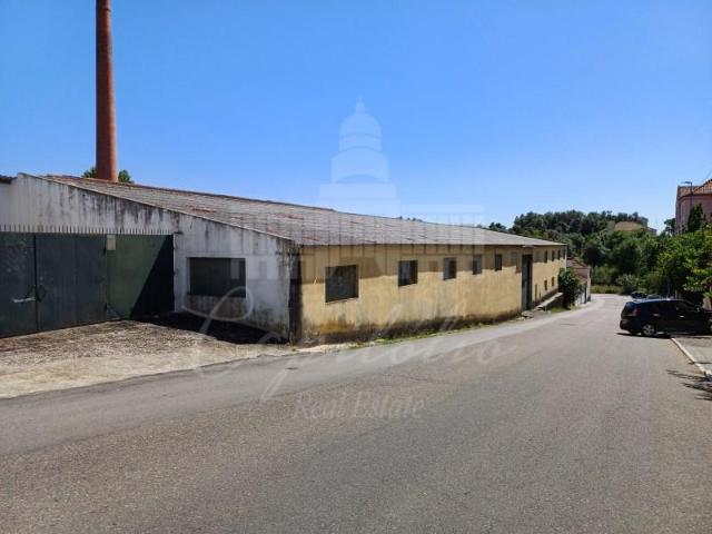 Granja Santarém Santarém DLS91967260