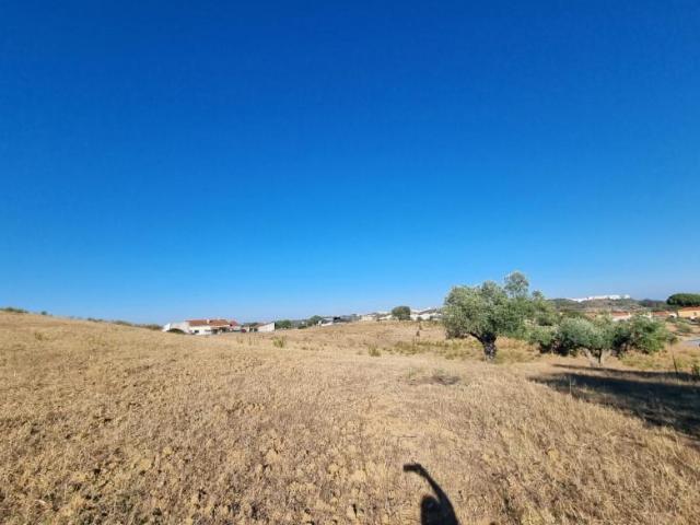 Granja Santarém Santarém DLS98873617