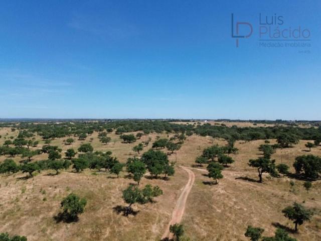 Granja Santiago do Cacém Santiago do Cacém DLS92030867