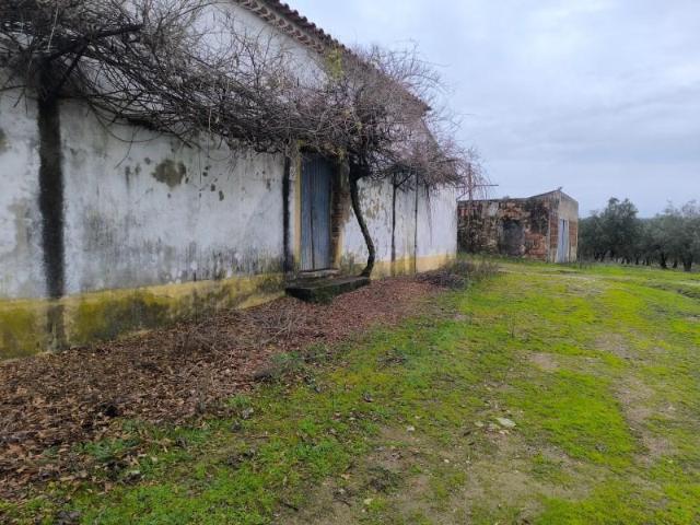 Granja Sardoal Sardoal DLS97938756