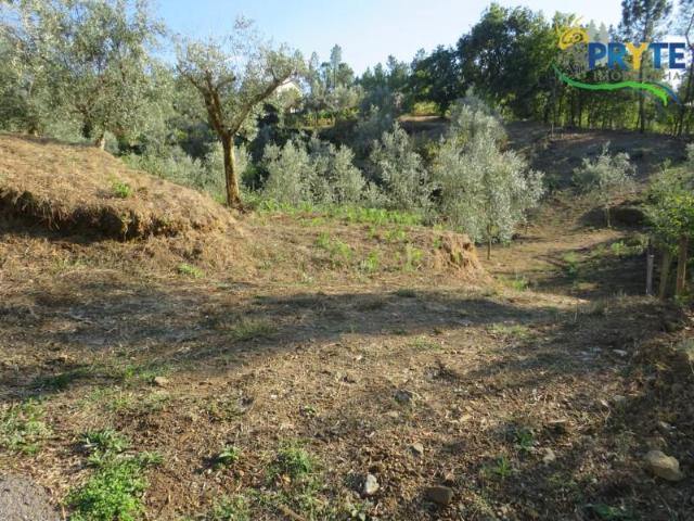 Granja Sertã Sertã DLS94929502