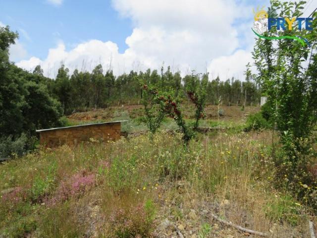 Granja Sertã Sertã DS97013108