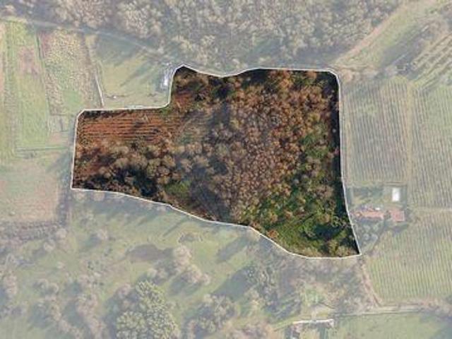 Granja Ponte De Lima Viana Do Castelo DS100021213