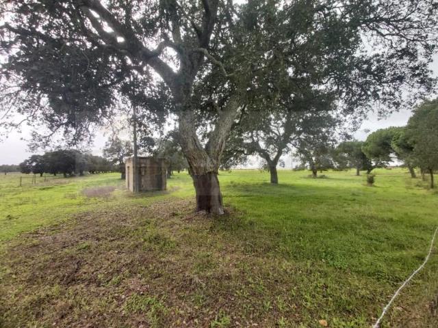 Granja Palmela Palmela DS97124531