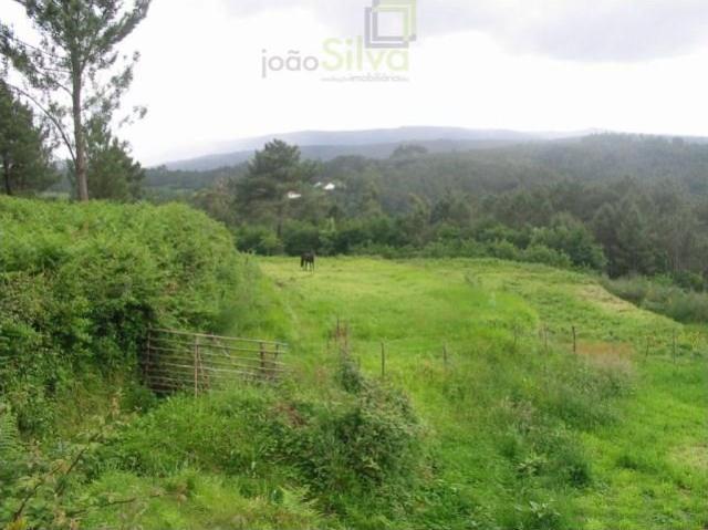 Granja Paredes de Coura Paredes de Coura DLS102767853