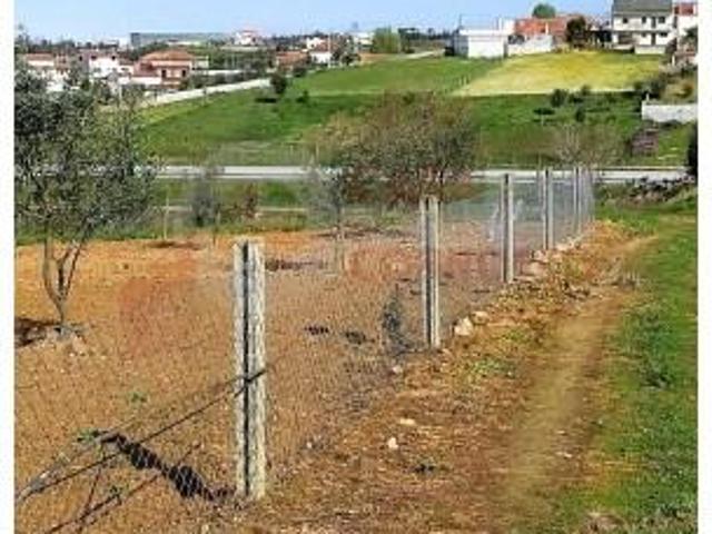 Granja Penacova Penacova DS97125338