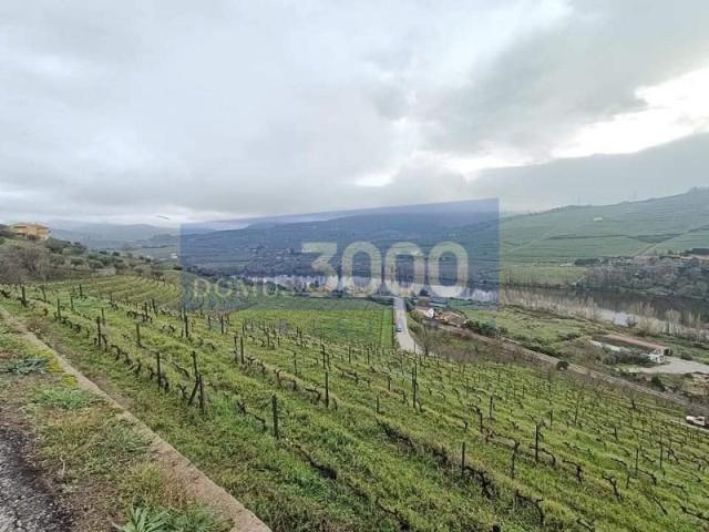 Granja Peso da Régua Peso da Régua DS101390451
