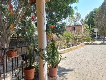 Granja Rancho con Gallos