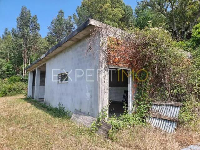 Granja Tábua Coimbra DLS91598458