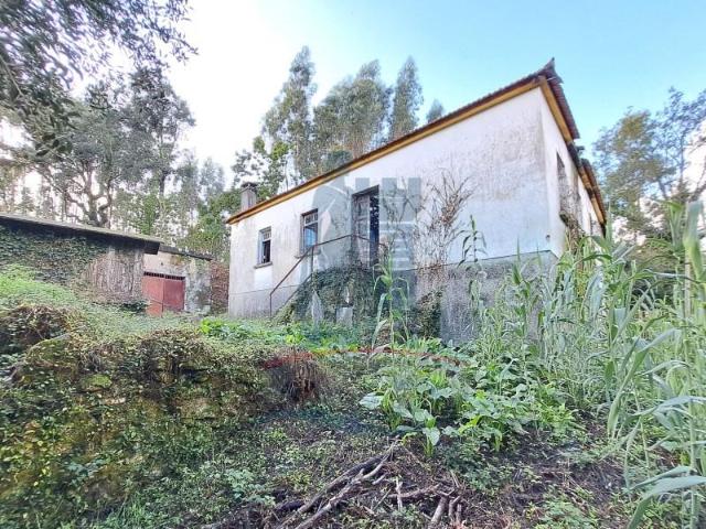 Granja Viana do Castelo Viana do Castelo DLS101593450