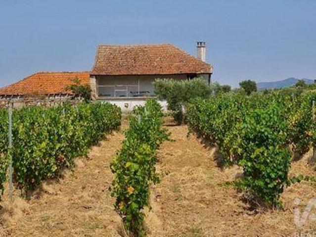 Granja Vila Flor Braganca DLS100854657