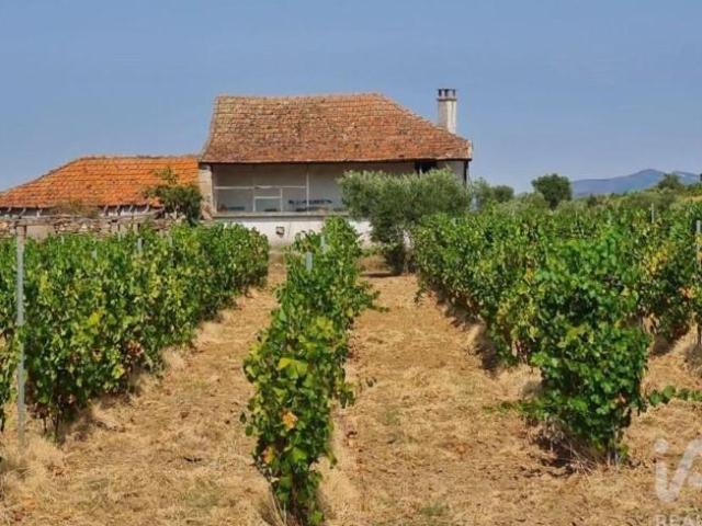 Granja Vila Flor Vila Flor DS100845999