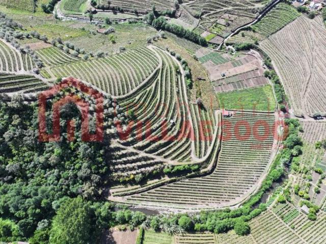 Granja Vila Real Vila Real DS102527168