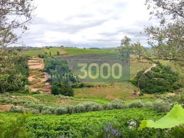 Granja Vila Real Vila Real DS96718481